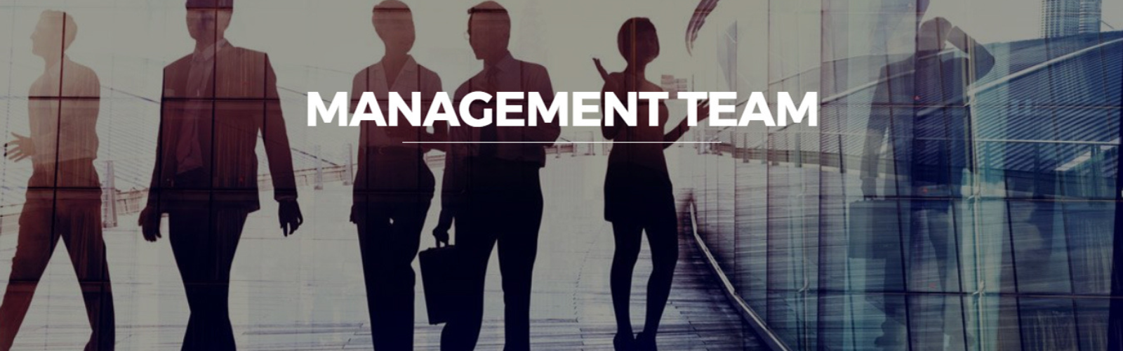 Management Team