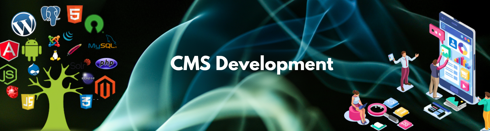 CMS Development CMS Development