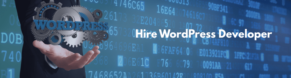 Hire Wordpress developer