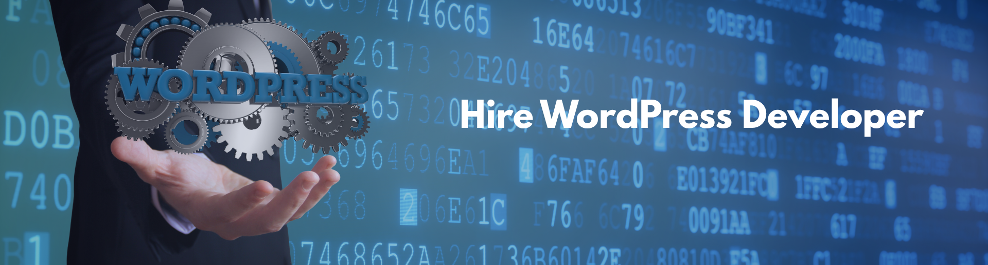 Hire WordPress developer Hire WordPress developer