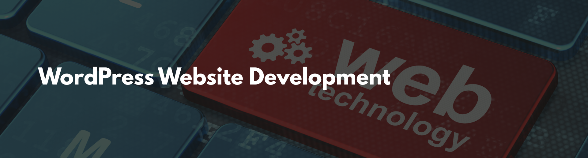 WordPress Development Wordpress Development