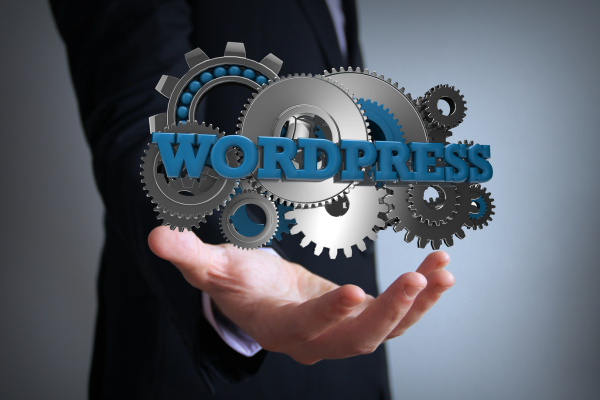 wordpress development services wordpress development services
