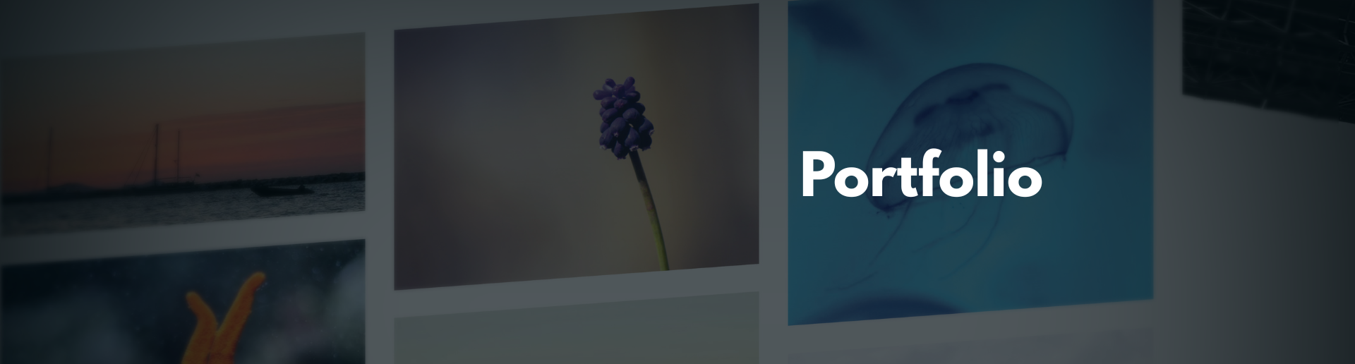 Portfolio Banner